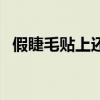 假睫毛贴上还是下（假睫毛贴在什么位置）