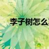 李子树怎么剪枝图片(李子树怎么剪枝) 李子树怎么剪枝图片(李子树怎么剪枝)