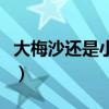 大梅沙还是小梅沙好（大梅沙小梅沙哪个好玩）