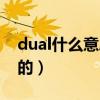 dual什么意思汽车上（dual是什么意思车上的）