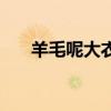羊毛呢大衣可以水洗吗（羊毛呢大衣）
