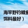 海竿野钓鲤鱼用什么饵料最好（钓鲤鱼用什么饵料最好）