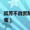 孤芳不自赏醉菊第几集被抓的（孤芳不自赏醉菊）