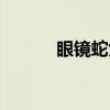 眼镜蛇女王图片（眼镜蛇女王）