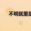 不明就里是什么意思解释（不明就里）