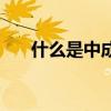 什么是中成药一览表（什么是中成药）