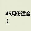 45月份适合去哪里旅游（45月份去哪旅游好）