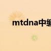 mtdna中编码基因的数目为（mtdna）
