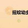 摇蚊幼虫的采集方法（摇蚊幼虫）