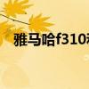 雅马哈f310和f600哪个好（雅马哈f310）