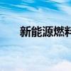 新能源燃料加盟可靠吗（新能源燃料）