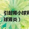 引起肾小球肾炎的主要原因（为什么会得肾小球肾炎）