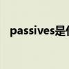 passives是什么意思（passive什么意思）