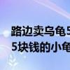路边卖乌龟5块钱的小龟几岁了（路边卖乌龟5块钱的小龟）