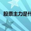 股票主力是什么意思（股票pe是什么意思）