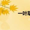 一叶草多少钱一斤（一叶草）