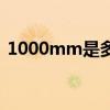 1000mm是多少米长(1000mm是多少米) 1000mm是多少米长(1000mm是多少米)
