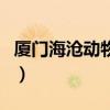 厦门海沧动物园门票多少钱（厦门海沧动物园）