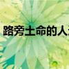 路旁土命的人适合做什么（路旁土命的用神）