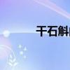 干石斛的吃法和用量（干石斛）