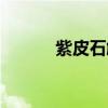 紫皮石斛怎么食用（紫皮石斛）
