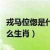 戎马倥偬是什么生肖精准解释（戎马倥偬是什么生肖）