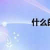 什么的沙子?（什么的沙子）