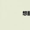 想翻就翻吧（想翻就翻）