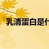 乳清蛋白是什么提取的（乳清蛋白是什么）