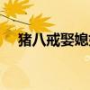 猪八戒娶媳妇主要内容（猪八戒娶媳妇）