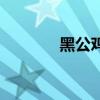 黑公鸡怎么做好吃(黑公鸡) 黑公鸡怎么做好吃(黑公鸡)