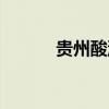 贵州酸汤鱼图片（贵州酸汤鱼）