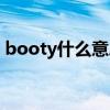 booty什么意思中文名字（booty什么意思）