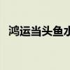 鸿运当头鱼水温多少度适宜（鸿运当头鱼）