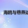 海鸥与巷燕这则故事的寓意（海鸥与巷燕）