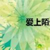 爱上陌生人歌词（陌生人歌词）