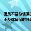 暖风不及你情深时念歌秦司廷多年第一次重逢在哪章（暖风不及你情深时念歌）