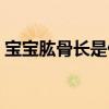 宝宝肱骨长是什么意思（肱骨长是什么意思）