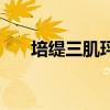 培缇三肌玶酯是什么（培缇三肌玶酯）