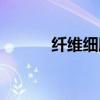 纤维细胞生长因子（纤维细胞）