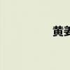黄姜花怎么吃（黄姜花）