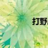 打野扁鹊出装（扁鹊出装）