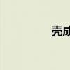 壳成语四个字（ke成语）