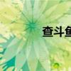 查斗鱼弹幕网站（弹幕网站）