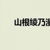 山根绫乃漫画百度云（山根绫乃漫画）
