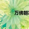 万佛朝宗bgm（万佛朝宗歌词）