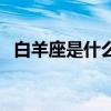 白羊座是什么性格呀（白羊座是什么性格）