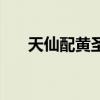 天仙配黄圣依电视剧（黄圣依电视剧）