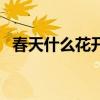春天什么花开了像什么（春天什么花开了）
