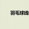 羽毛球线磅数如何选择(羽毛球线) 羽毛球线磅数如何选择(羽毛球线)